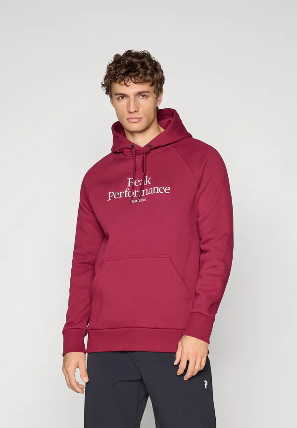 ORIGINAL - Kapuzenpullover - vertical zenith