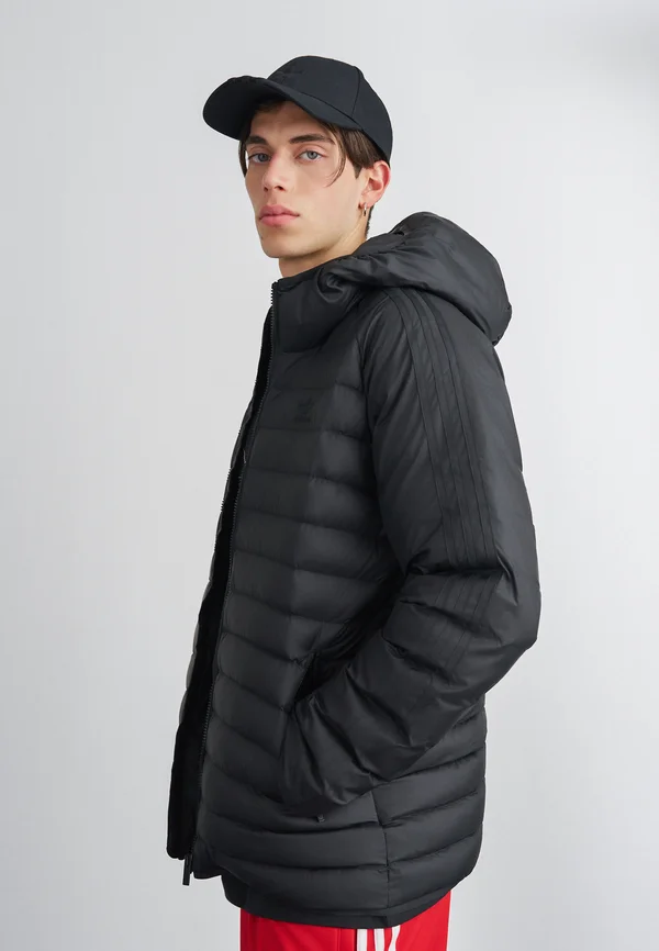 PAD HOODED  - Winterjacke - black
