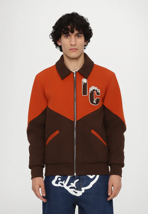 PANELLED VARSITY - Bomberjacke - brown/orange