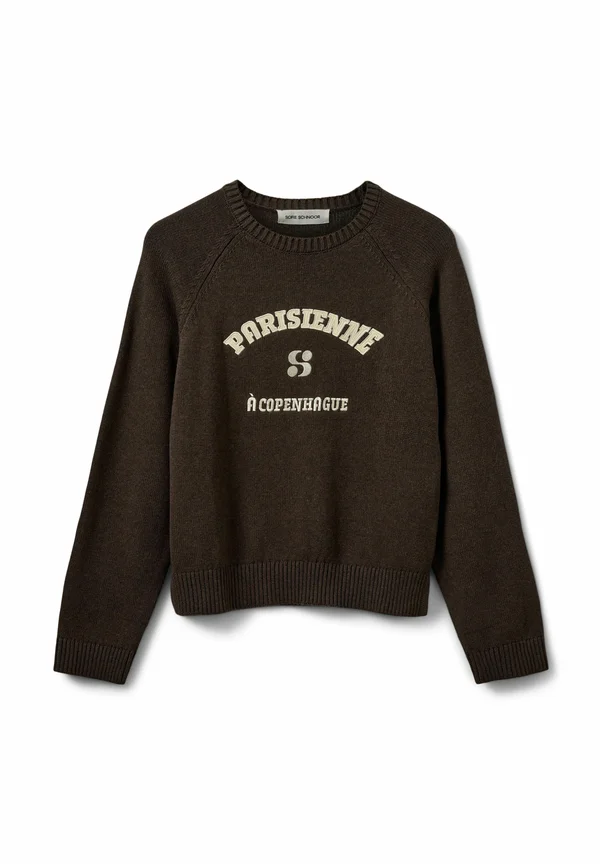 PARISIENNE - Strickpullover - dark brow