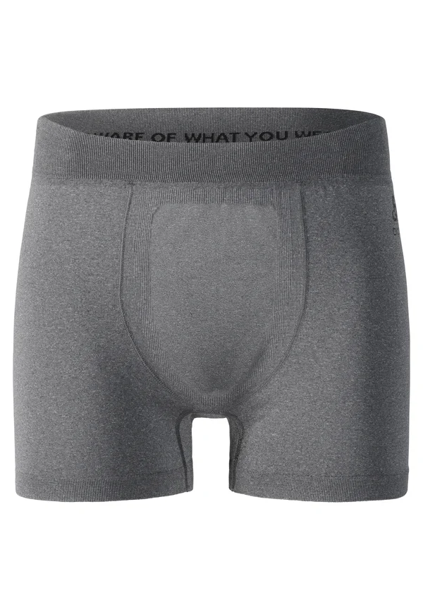 PERFORMANCE - Panties - grey melange