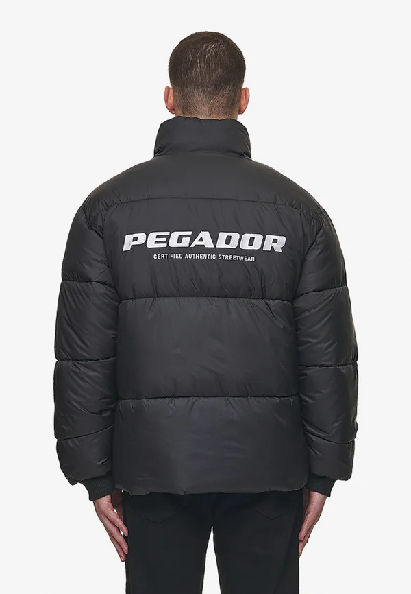 PICARD PUFFER JACKET - Winterjacke - black