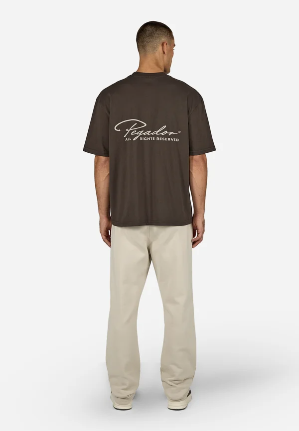 PIKE TEE - T-Shirt print - washed walnut brown/cozy beige