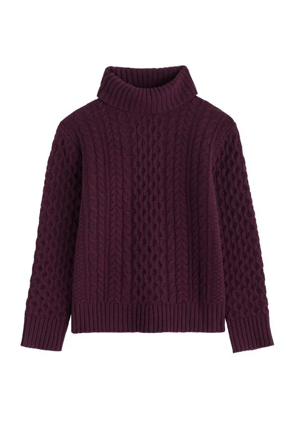 PINE FOREST  - Strickpullover - purple - dark hellebore