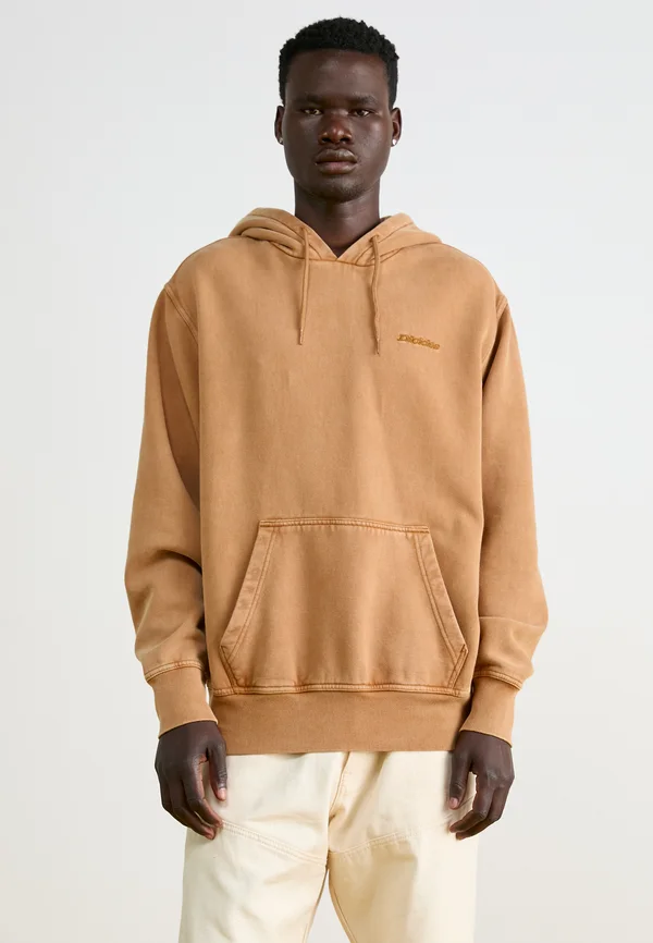 PLENTYWOOD HOODIE - Sweatshirt - brown