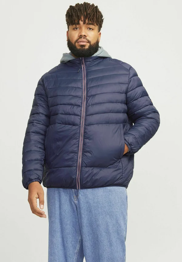 PLUS - Winterjacke - navy blazer