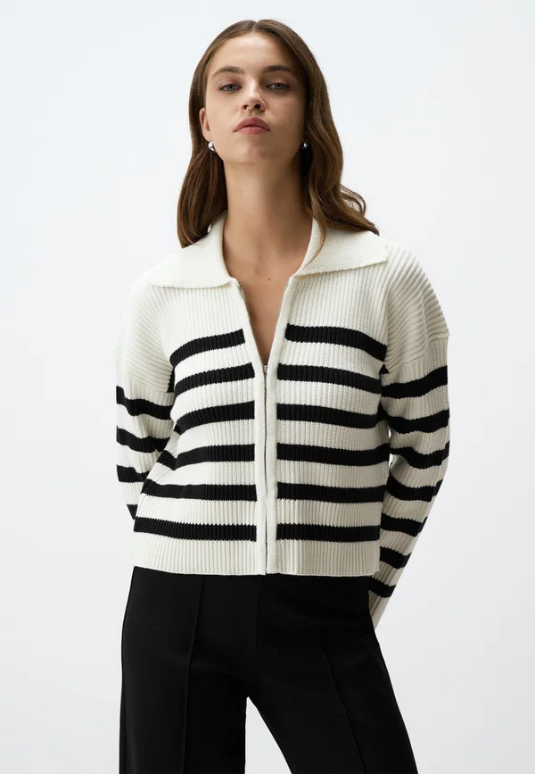 POLO COLLAR ZIPPERED STRIPED - Strickjacke - multi coloured