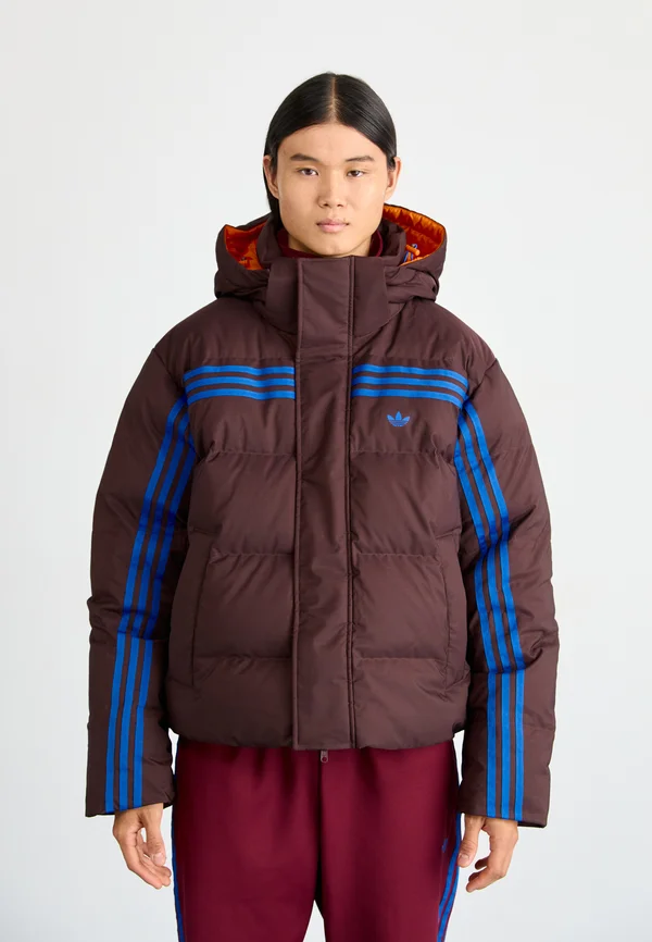 PUFFER - Daunenjacke - shadow brown