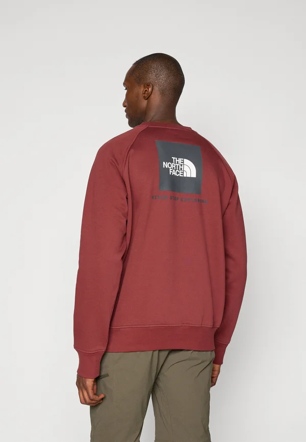 RAGLAN BOX CREW - Sweatshirt - sumac/asphalt grey
