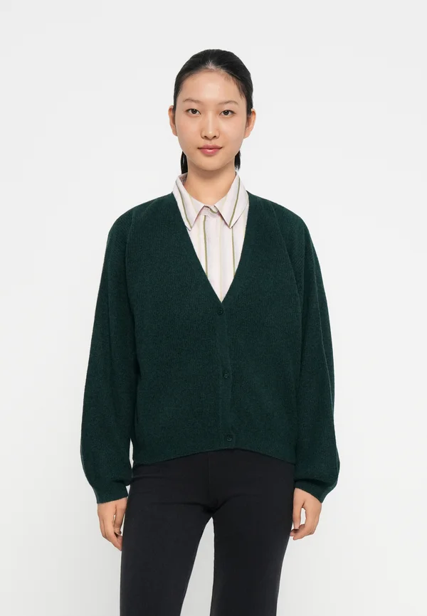 RAXOW - Strickjacke - cychno