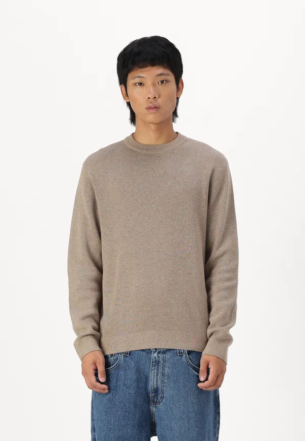 RBLAMILANO CREW NECK - Strickpullover - greige