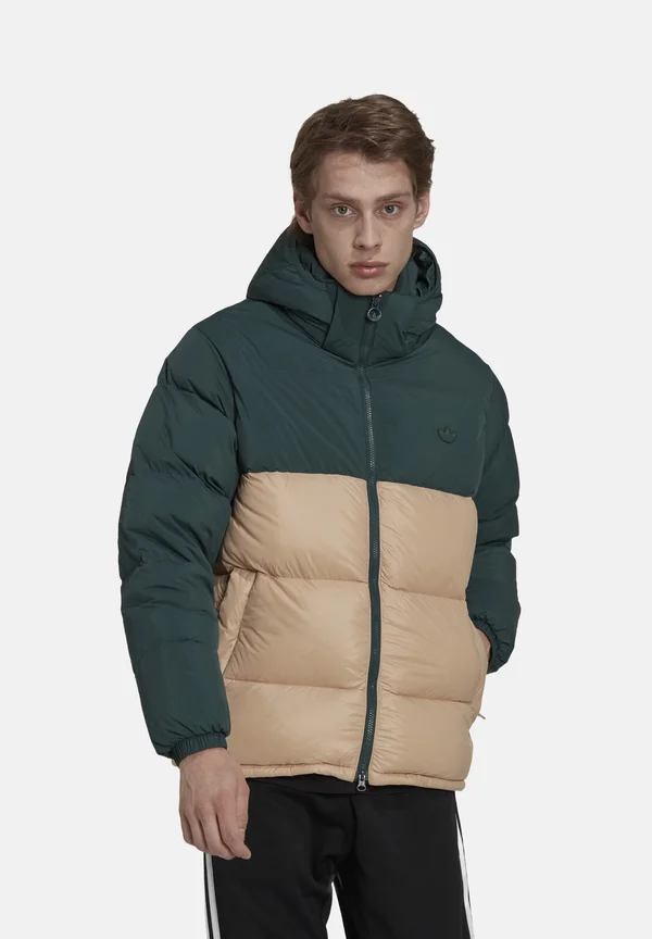 REGEN - Winterjacke - gruenbeige