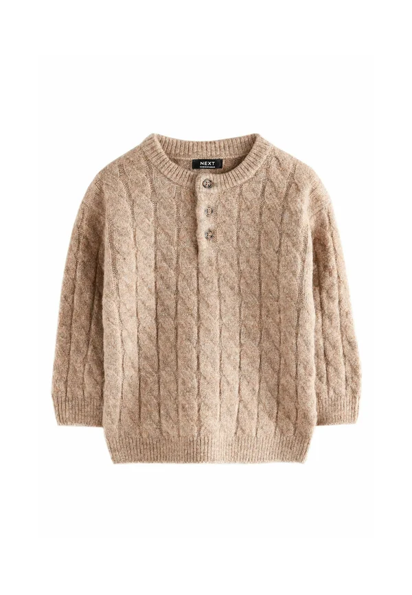 REGULAR FIT HENLEY - Strickpullover - neutral