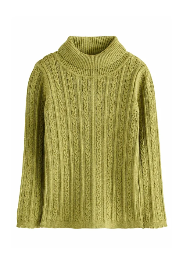 REGULAR FIT-ROLL NECK - Strickpullover - green