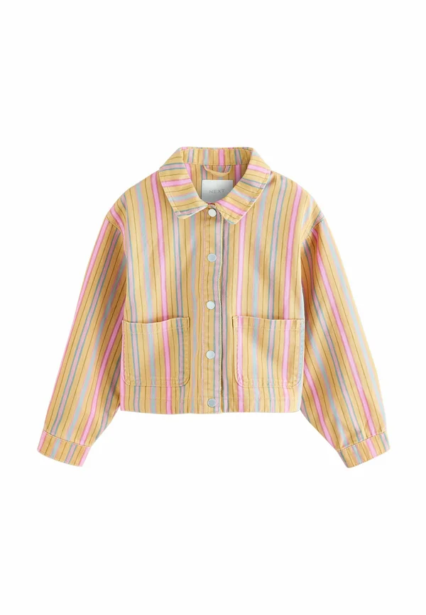 REGULAR FIT - STRIPE  - Leichte Jacke - multi