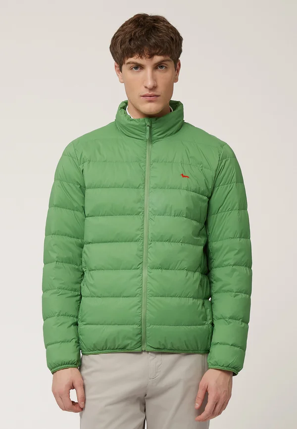 REGULAR FIT - Winterjacke - verde