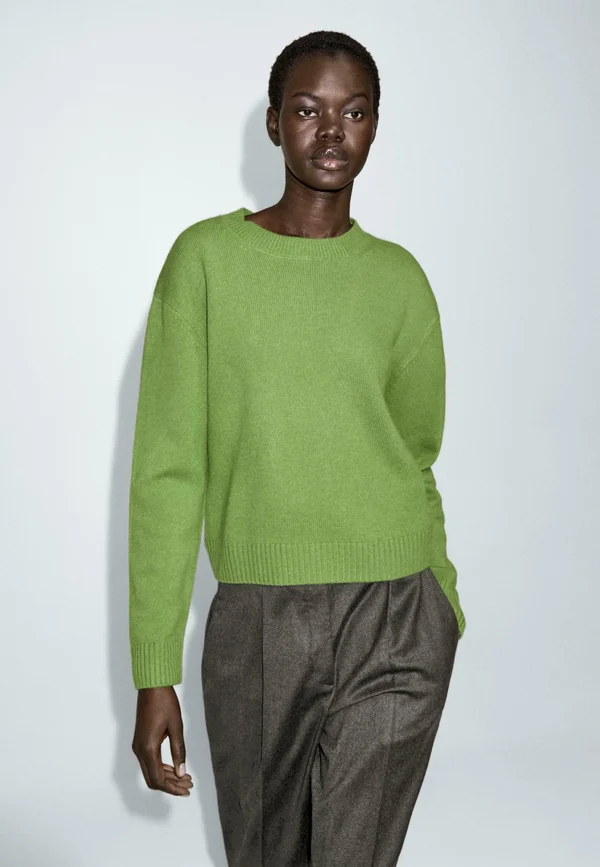 RIBBED CREW NECK - Strickpullover - neon green