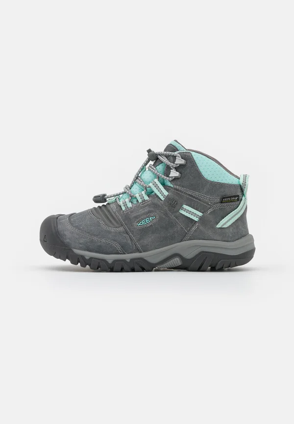 RIDGE FLEX MID WP UNISEX - Hikingschuh - grey/blue tint