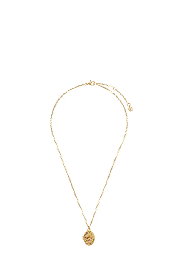 ROBIN & BLACKBERRY LOCKET CHAIN - Halskette - gold-coloured