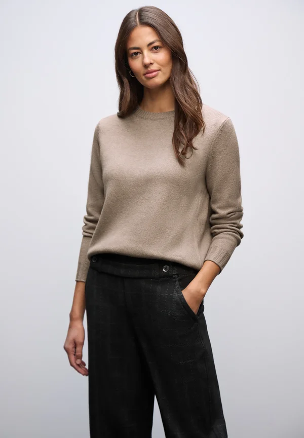 RUNDHALS  - Strickpullover - beige