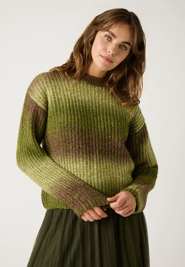 RUNDHALS - Strickpullover - multicolour yarn knit