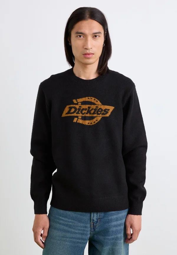 RUSTON SWEATER - Strickpullover - black