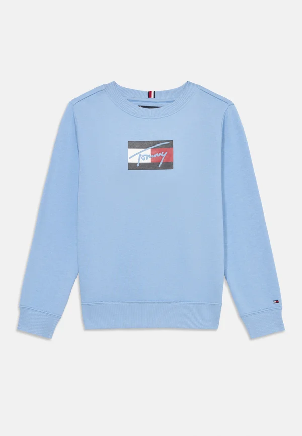 SCRIPT FLAG UNISEX - Sweatshirt - cloudy blue