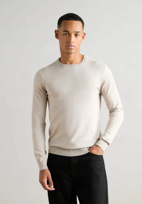 SEASONAL CORE REGULAR FIT JUMPER - Strickpullover - highway grey