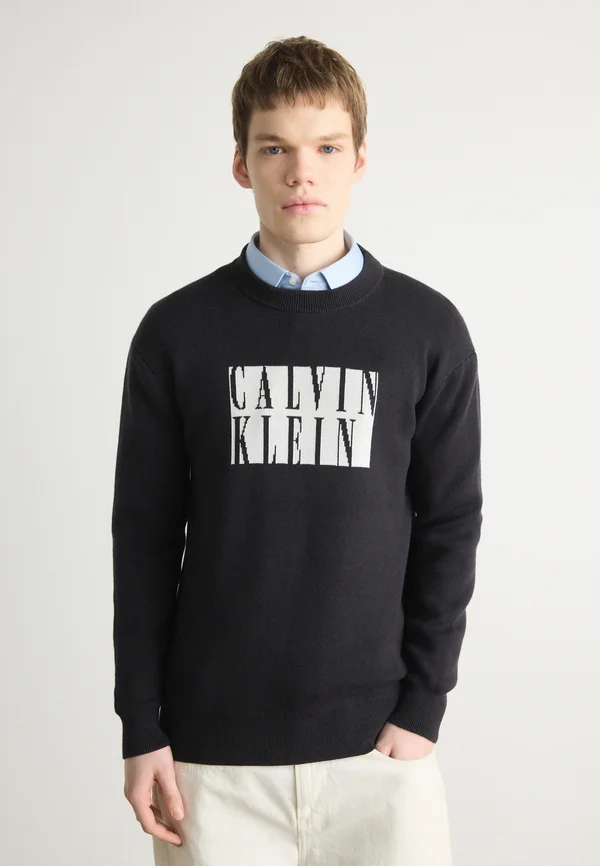 SEASONAL INTARSIA - Strickpullover - black