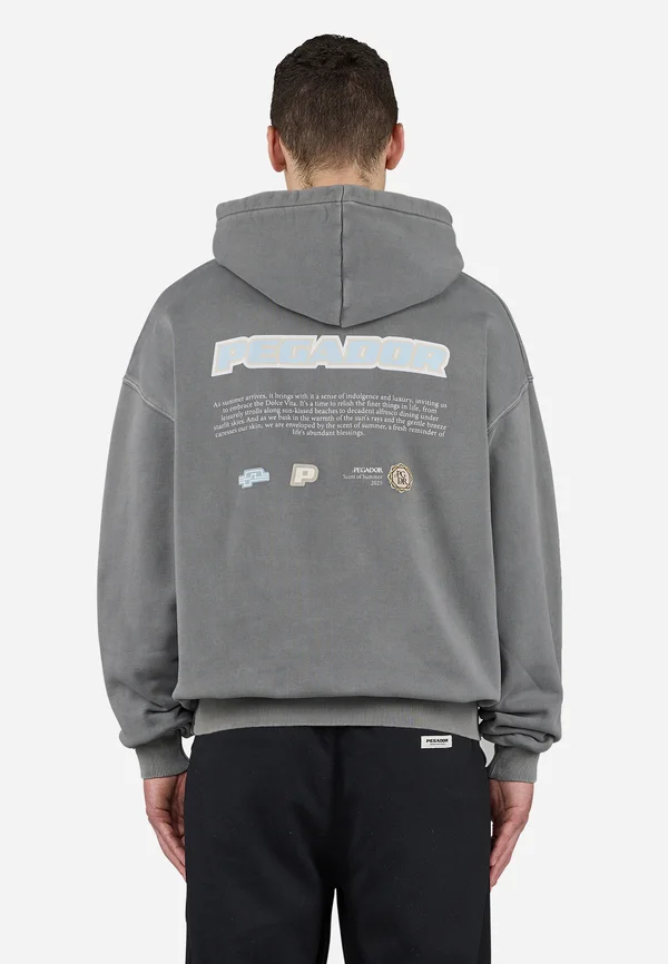 SENTINAL - Kapuzenpullover - vintage grey