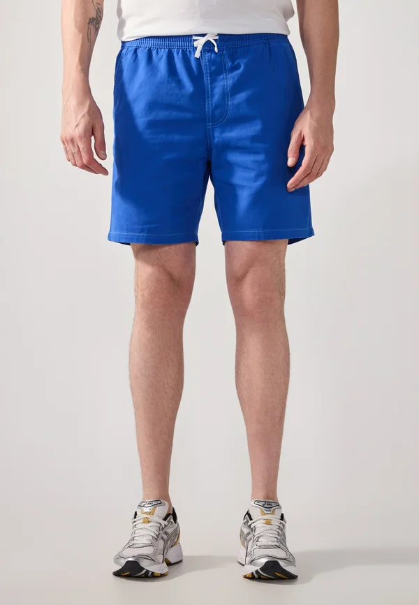 Shorts - blue-grey