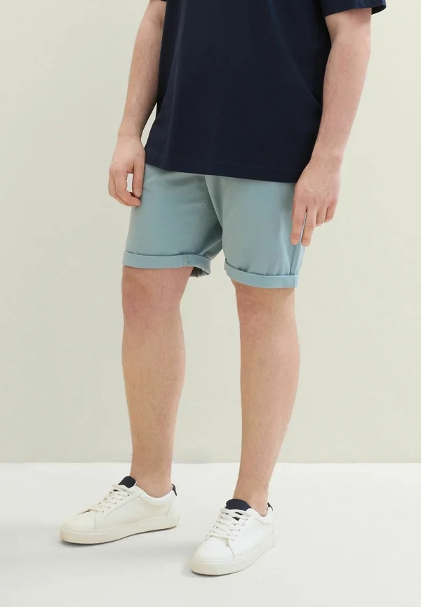 Shorts - grey mint