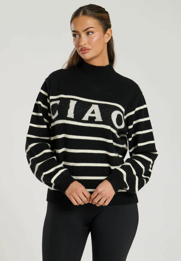 SKI FUNNEL NECK SLOGAN STRIPED KNIT - Strickpullover - black