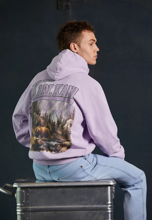 SMALL SIGNATURE OS WASHED HEAVY LANDSCAPE - Kapuzenpullover - light purple