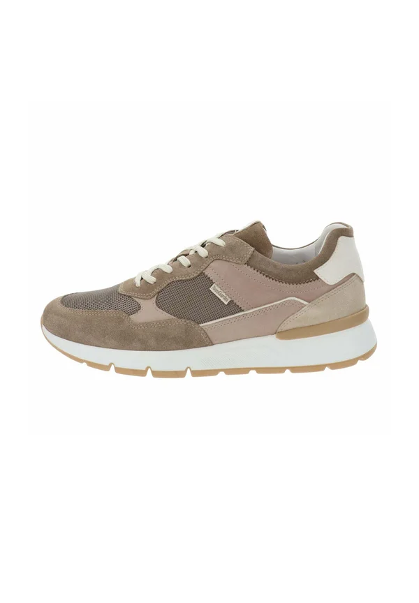 SNEAKERS - Sneaker low - tortora