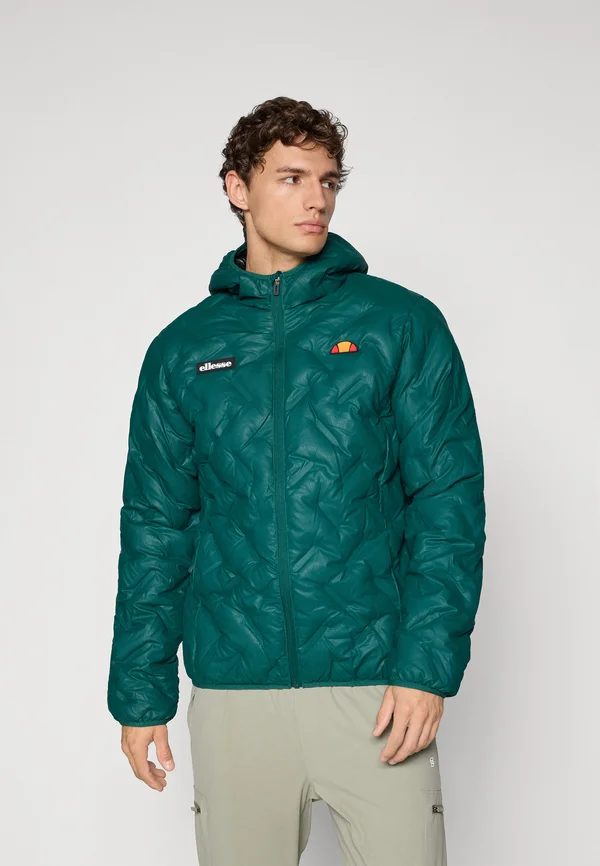 STANNETTI - Winterjacke - dark green