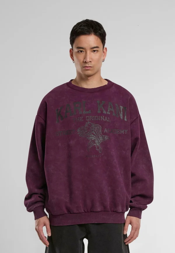 STREET ACADEMY WASHED OS CREW - Sweatshirt - purple