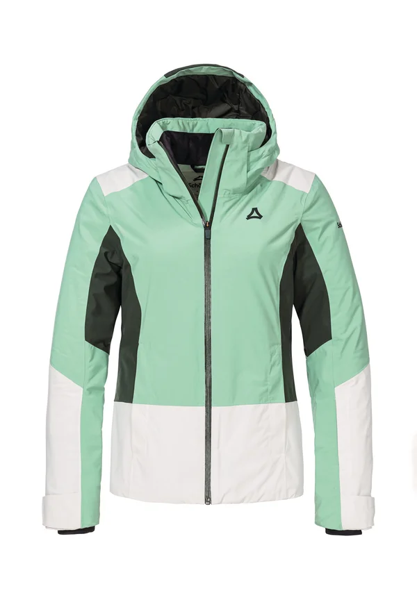 STYLE ZANDWEL WMS - Snowboardjacke - grün