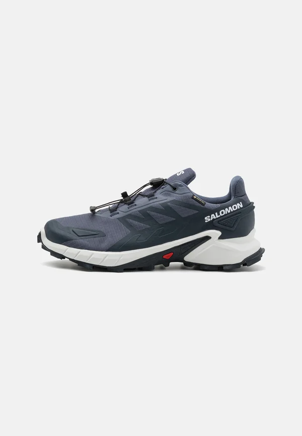 SUPERCROSS 4 GTX - Laufschuh Trail - grisaille/white/carbon