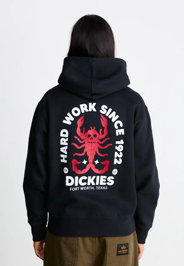 SURPLUS SHOAL CREEK BOXY HOODIE - Kapuzenpullover - black