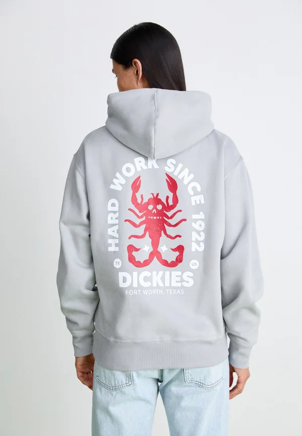 SURPLUS SHOAL CREEK BOXY HOODIE - Kapuzenpullover - ultimate gray
