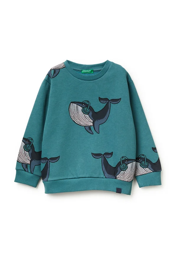 Sweatshirt - multicolor