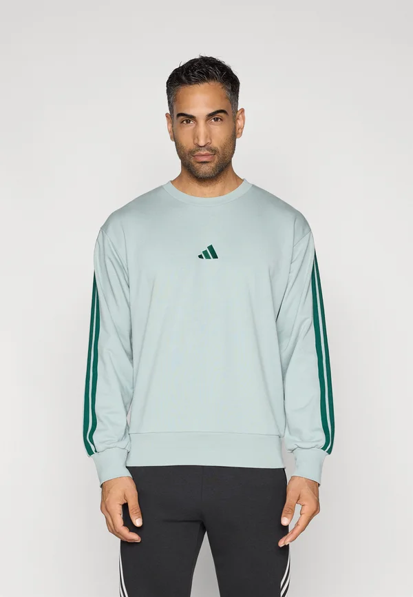 Sweatshirt - sage/collegiate green