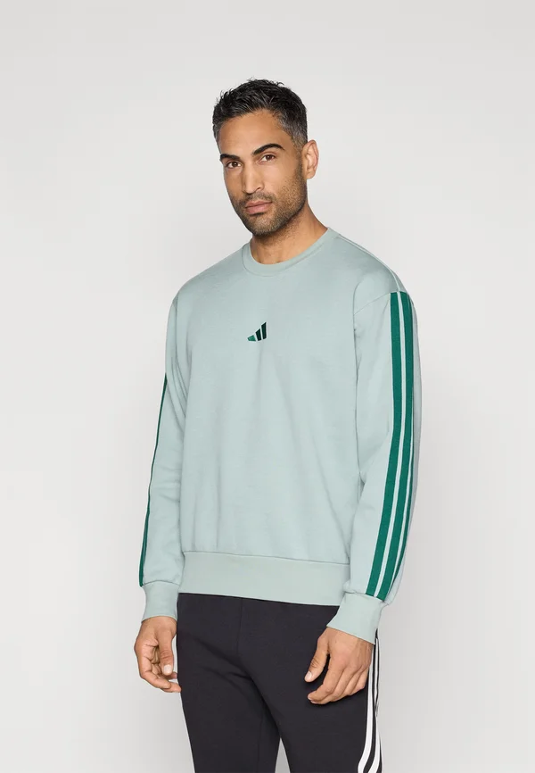 Sweatshirt - sage/collegiate green