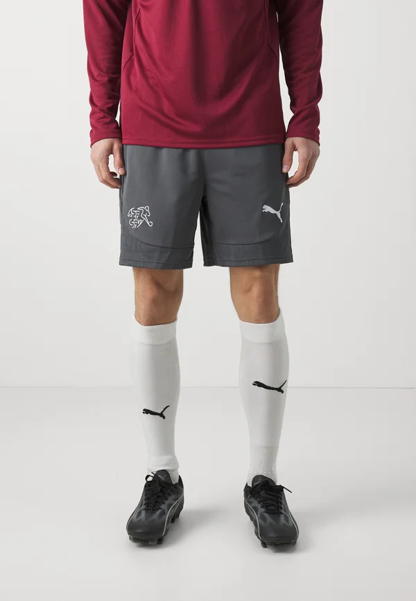 SWITZERLAND SFV TRAINING SHORTS - Nationalmannschaft - shadow gray