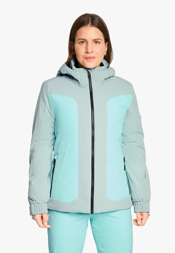 TARLA-Z - Skijacke - dried eucalyptus