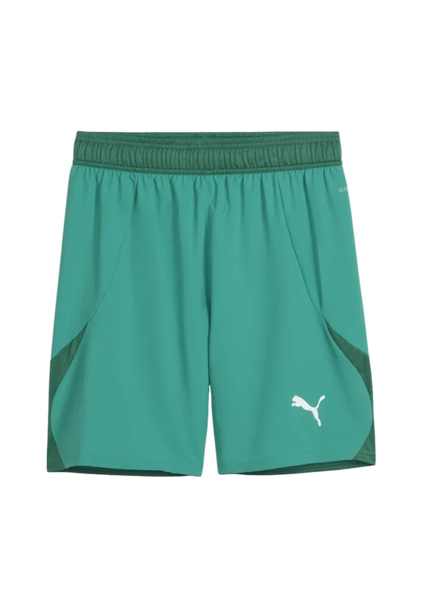 TEAMFINAL - Kurze Sporthose - green