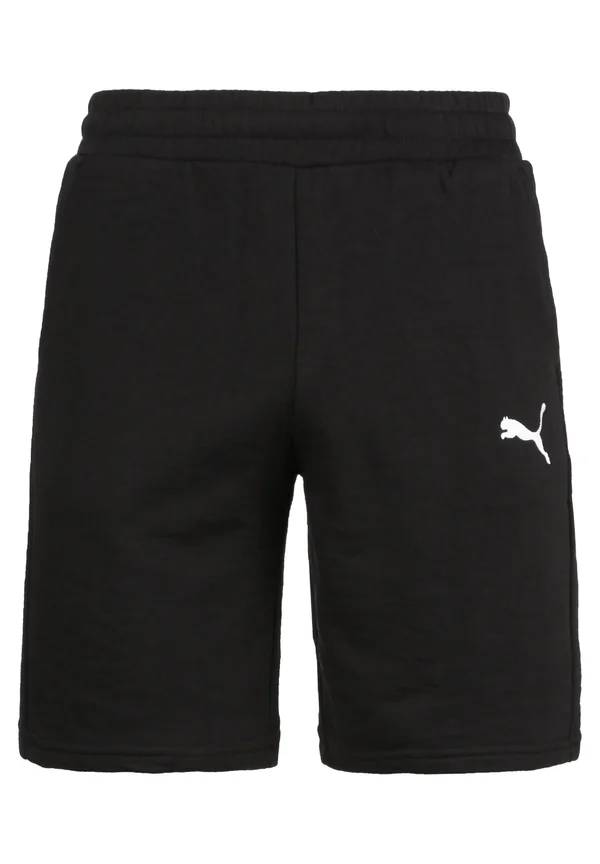 TEAMGOAL 23 CASUALS TRAININGSSHORT HERREN - Kurze Sporthose - puma black