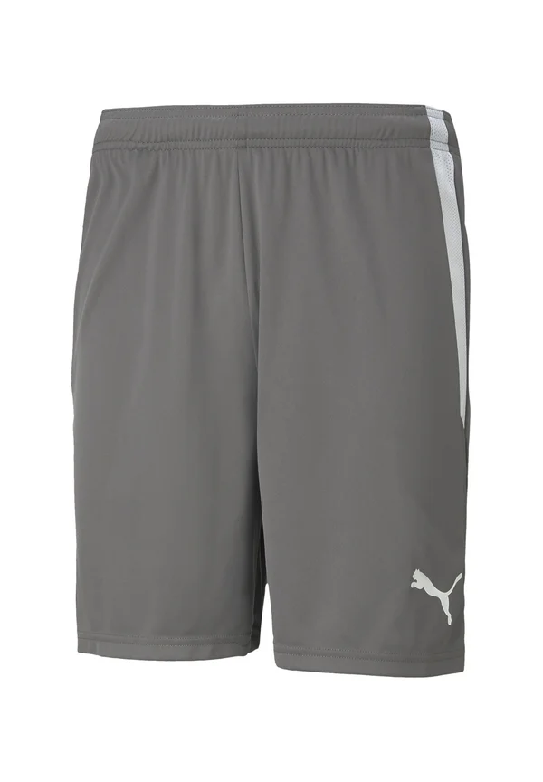 TEAMLIGA FOOTBALL - Shorts - grauweiss