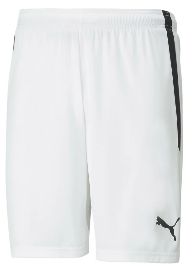 TEAMLIGA FOOTBALL - Shorts - puma white puma black